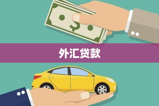 金城外汇贷款