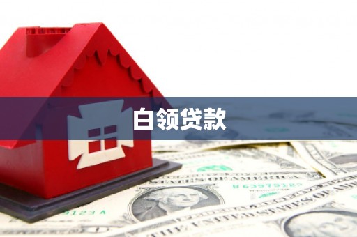 金城白领贷款
