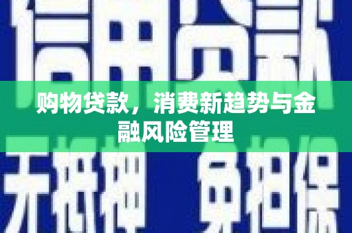 金城购物贷款，消费新趋势与金融风险管理