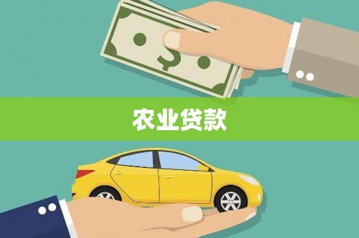 金城农业贷款