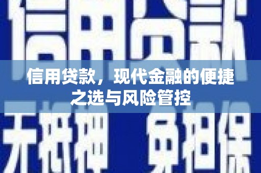 金城信用贷款，现代金融的便捷之选与风险管控