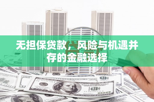 金城无担保贷款，风险与机遇并存的金融选择