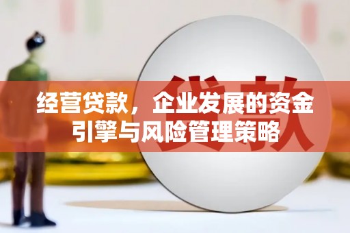 金城经营贷款，企业发展的资金引擎与风险管理策略
