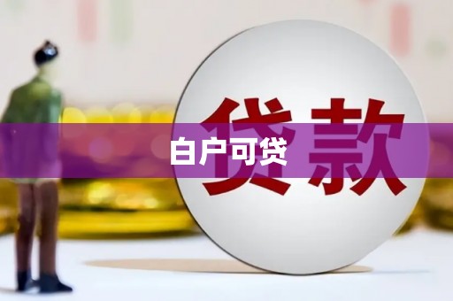 金城白户可贷