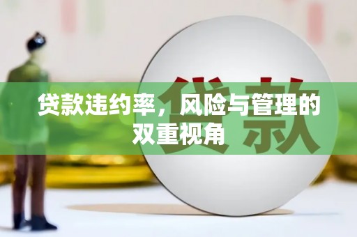 金城贷款违约率，风险与管理的双重视角