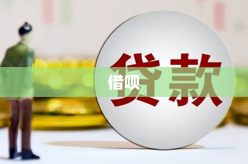 金城借呗