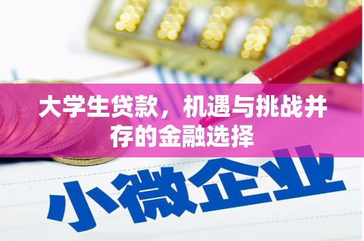 金城大学生贷款，机遇与挑战并存的金融选择