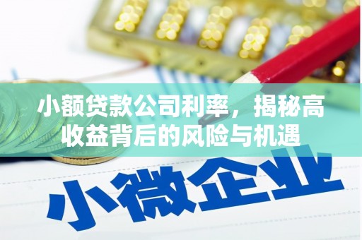 金城小额贷款公司利率，揭秘高收益背后的风险与机遇