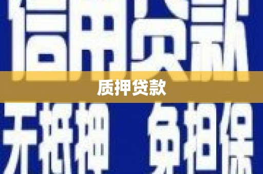 金城质押贷款