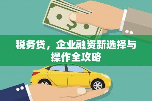 金城税务贷，企业融资新选择与操作全攻略