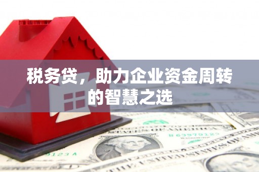 金城税务贷，助力企业资金周转的智慧之选