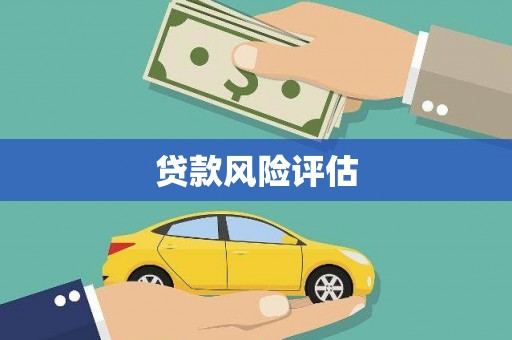 金城贷款风险评估