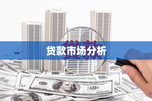 金城贷款市场分析