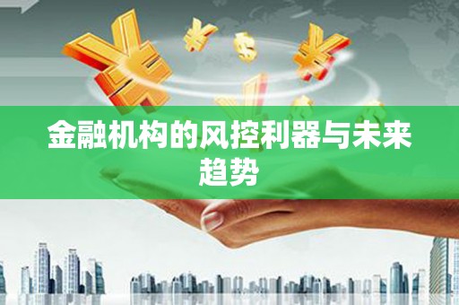 金城金融机构的风控利器与未来趋势