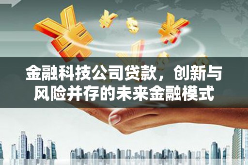 金城金融科技公司贷款，创新与风险并存的未来金融模式