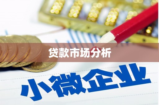 金城贷款市场分析