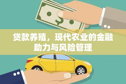 金城贷款养殖，现代农业的金融助力与风险管理