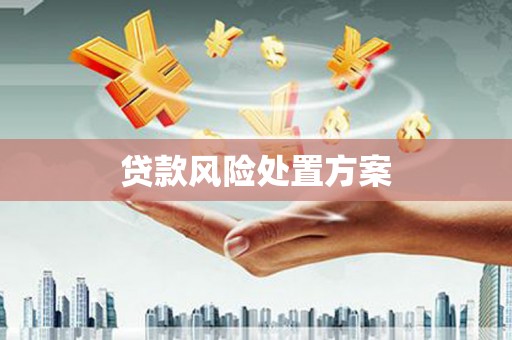 金城贷款风险处置方案