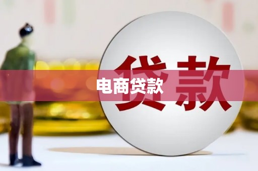 金城电商贷款