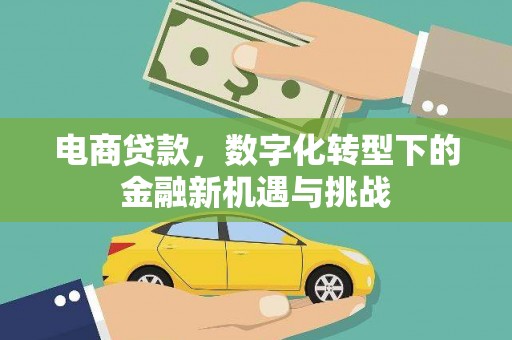 金城电商贷款，数字化转型下的金融新机遇与挑战