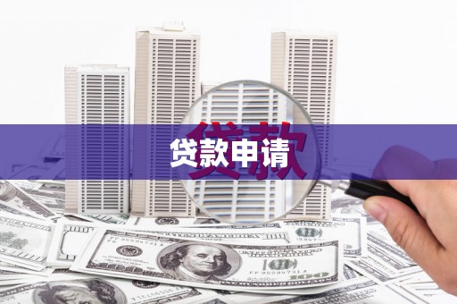 金城贷款申请
