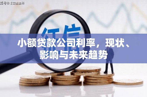 金城小额贷款公司利率，现状、影响与未来趋势