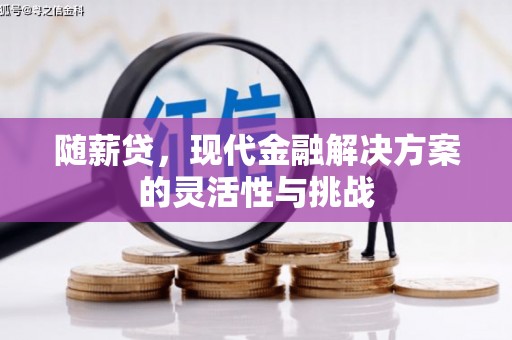 金城随薪贷，现代金融解决方案的灵活性与挑战