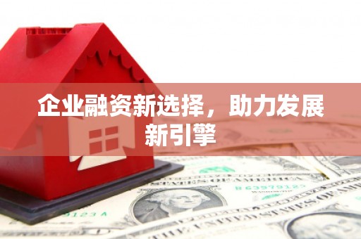 金城企业融资新选择，助力发展新引擎