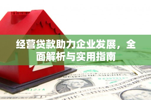 金城经营贷款助力企业发展，全面解析与实用指南