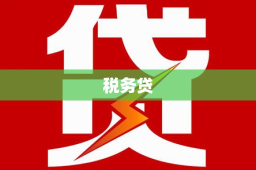 金城税务贷