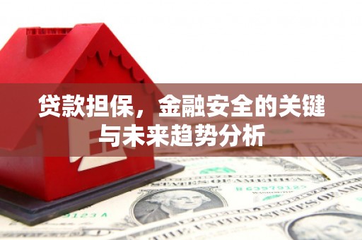 金城贷款担保，金融安全的关键与未来趋势分析