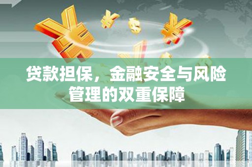 金城贷款担保，金融安全与风险管理的双重保障