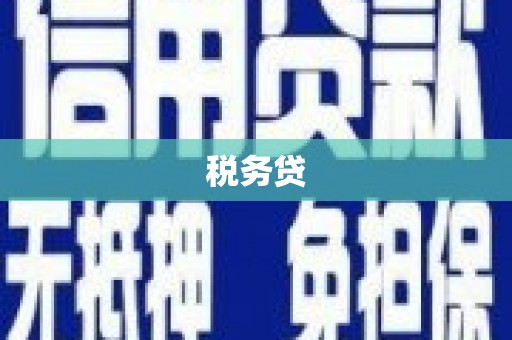 金城税务贷