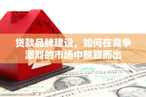 金城贷款品牌建设，如何在竞争激烈的市场中脱颖而出