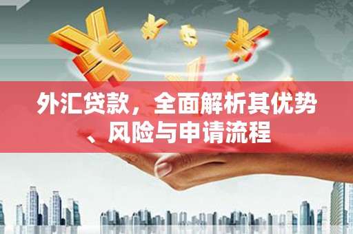 金城外汇贷款，全面解析其优势、风险与申请流程