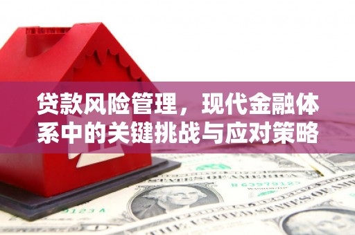 金城贷款风险管理，现代金融体系中的关键挑战与应对策略