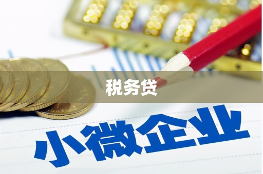 金城税务贷