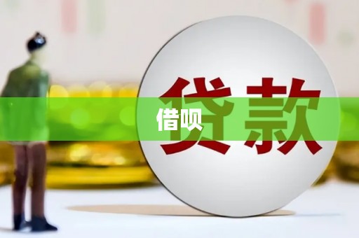 金城借呗