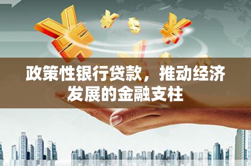 金城政策性银行贷款，推动经济发展的金融支柱
