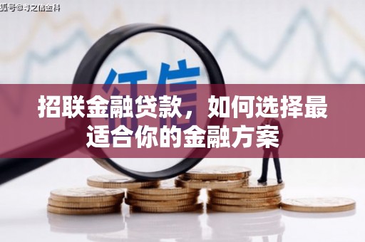 金城招联金融贷款，如何选择最适合你的金融方案