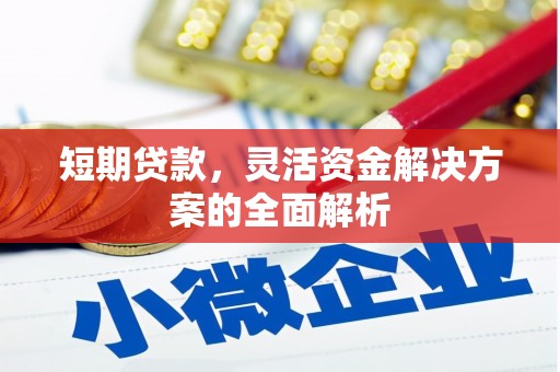 金城短期贷款，灵活资金解决方案的全面解析