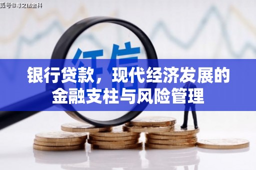 金城银行贷款，现代经济发展的金融支柱与风险管理