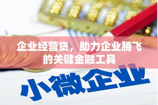 金城企业经营贷，助力企业腾飞的关键金融工具
