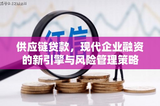 金城供应链贷款，现代企业融资的新引擎与风险管理策略