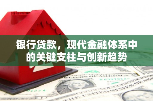 金城银行贷款，现代金融体系中的关键支柱与创新趋势