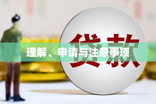 金城理解、申请与注意事项