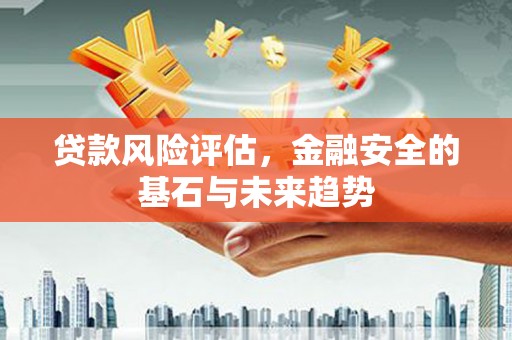 金城贷款风险评估，金融安全的基石与未来趋势