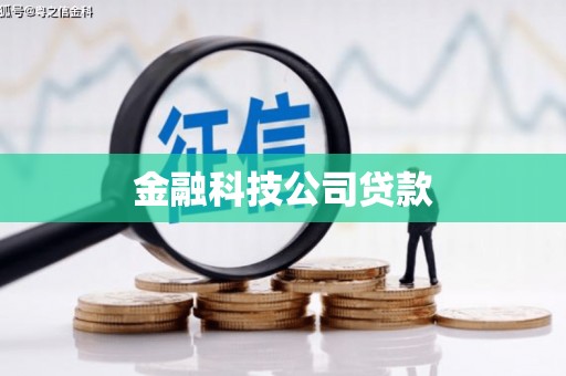 金城金融科技公司贷款