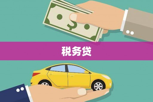 金城税务贷