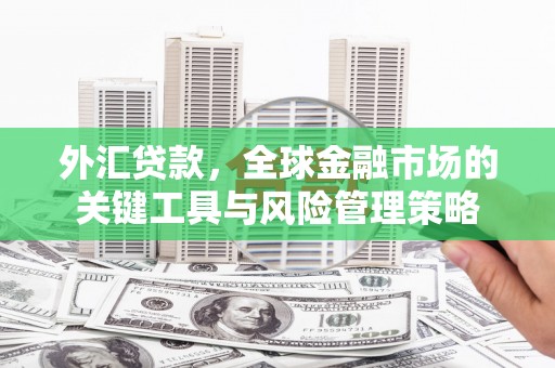 金城外汇贷款，全球金融市场的关键工具与风险管理策略